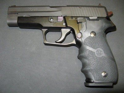 P226 mit Hogue von links.jpg